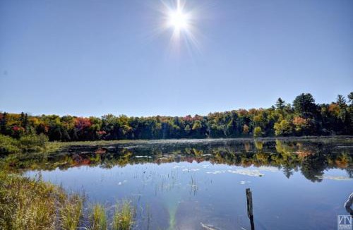 Magnetawan Hotel | Quiet Bay Lakeside Escape