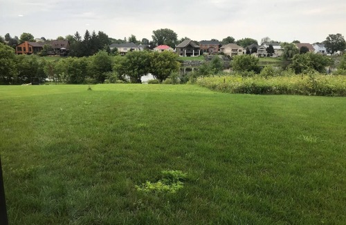 Casselman House | Quiet Riverfront , Pet friendly