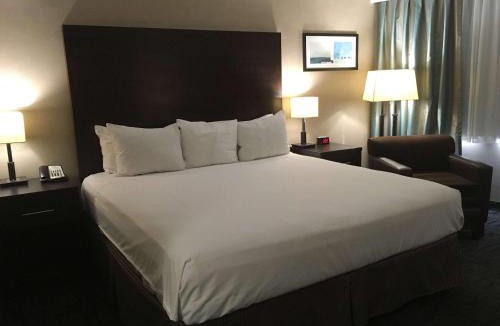 Downtown Winnipeg Hotel | Radisson Hotel Winnipeg Downtown