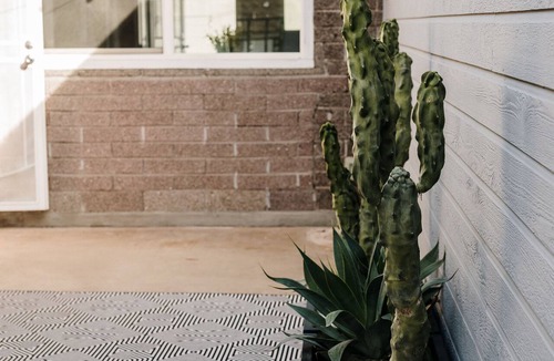 Camelback East House | Refreshing Pool/Backyard Desert Oasis