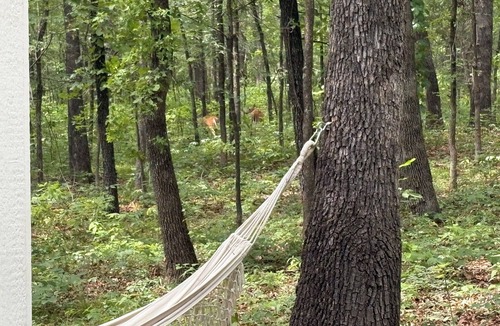 Kingston Cabin | Remote Cabin Hideaway in the woods close to the lake, walking trails, and casino