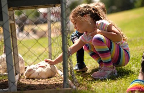 Cormack Hotel | Rocky Brook Acres