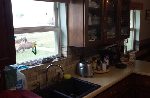 Dublin Bed & Breakfast | Rural Oasis - King's Private Room and Shared Bathroom