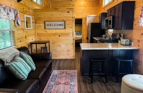 Talisheek Cabin | Secluded cozy tiny cabin on the water with fire pit and private dock