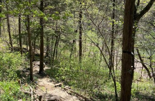 Eureka Springs House | Secluded Lakeview retreat by Eureka Springs-CANOE
