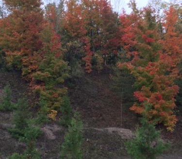 Central Huron Other | Serene Westside Tiny Cabin
