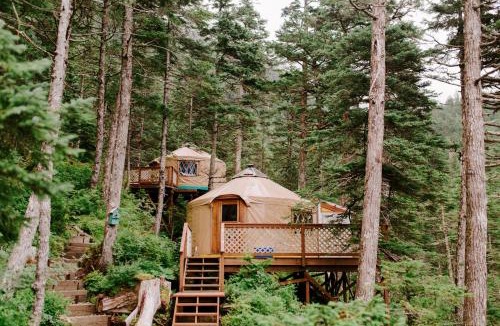 Seward Other | Shearwater Cove