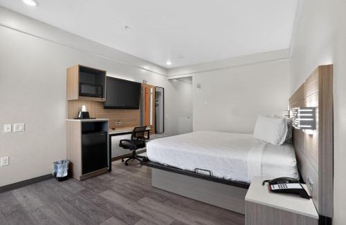 Houston Hotel | Sonesta Essential Hotel Houston-I-45 Spring