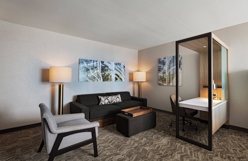 Far North Dallas Hotel | SpringHill Suites by Marriott Dallas Richardson/University Area