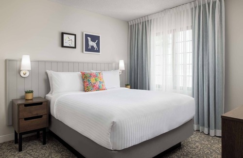 Thornhill Hotel | Stay Comfortably in a Pet-Friendly Suite with Swimming Pool Near Attractions