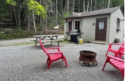 Gooderham Cabin | Steps away to gooderham lake plus pet friendly