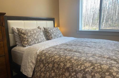 Susitna North Ski Chalet | Talkeetna Mount Dall Cottage with WiFi&laundry