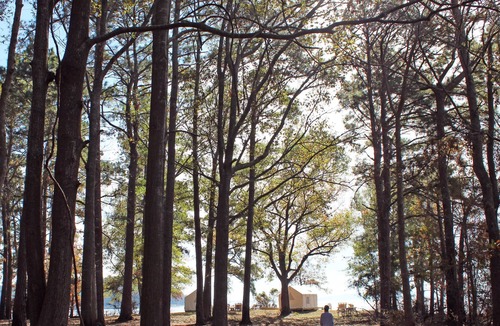 Anacoco RV Rental | Tentrr State Park Site - Louisiana South Toledo Bend State Park - Site A - Sing