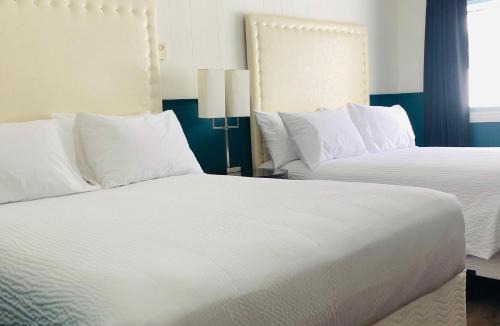 Schreiber Hotel | The Voy