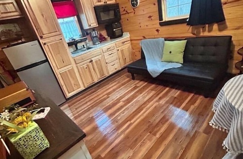 Granbury Cabin | Tiny Cottage with Pickleball and Pet Friendly