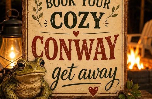 Conway House | Toad-Ally Cozy Cottage - Conway Getaway