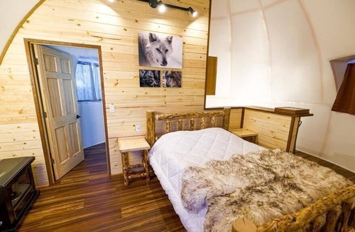 Pleasant Valley Other | Tonzona Igloo: Reindeer Walking Path and Aurora