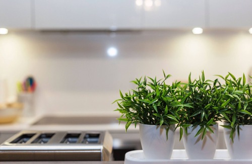 Downtown Toronto House | Upscale & Curated | 4BR, 3BATH Townhouse Queen West Financial/Entertainment Dist