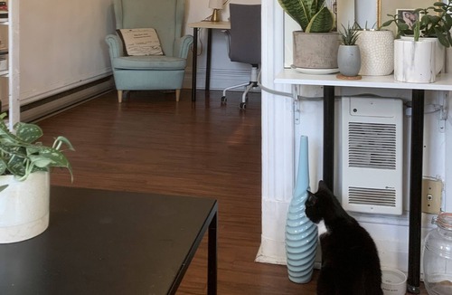 De Lorimier Apartment | Vrbo Property