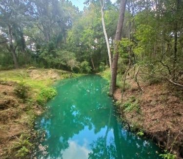 Plantersville Villa | Waterfront Getaway near Houston - Fishing
