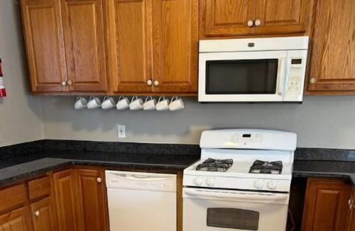 Northeast Anchorage House | Wolf lodge
