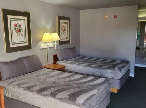 2 Double Beds Hotel Studio 130