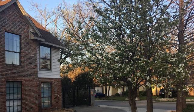 2Bed 1Bath *Private entry *entire unit