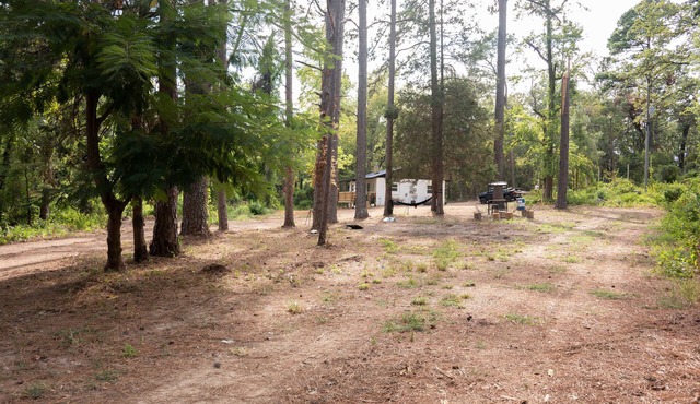 A charming quirky retreat nestled amidst the beauty of many majestic trees.
