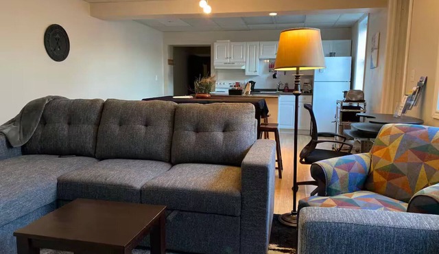 A-Large loft-like downtown apartment A