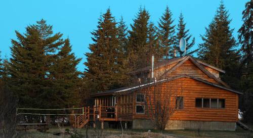 Bear Den Vacation Home