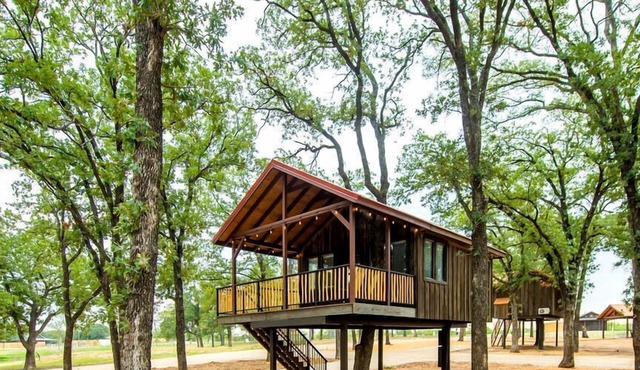 Beautiful Treehouse Glamping Site, Near Magnolia, Texas