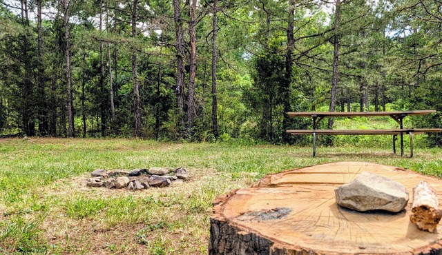 Brookside Tent Site #4 at Ouachita Campground at Edendell