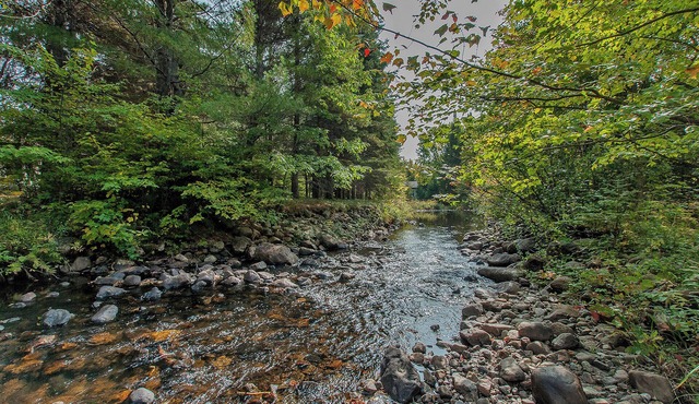 Chalet canin Coureur-des-bois.