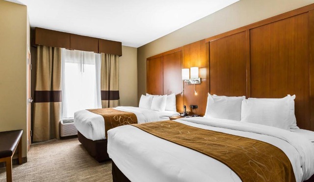 Comfort Suites - University