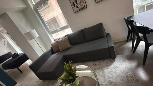 Condo with grey sofa bed