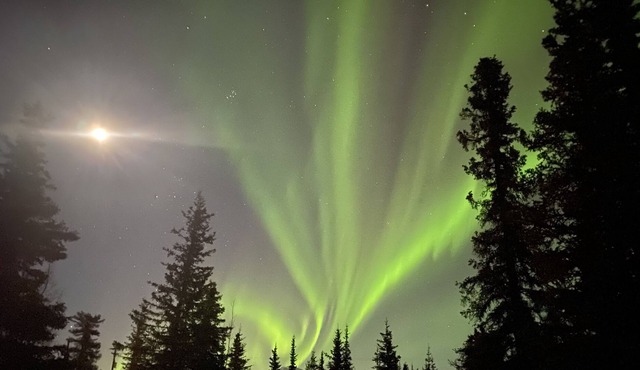 *Copper Cabin *Studio apartment* *Alaskan comfort near Denali Park* Washer/Dryer
