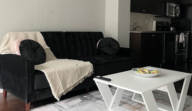 Cozy 1+1 condo located in the heart of Downtown TO