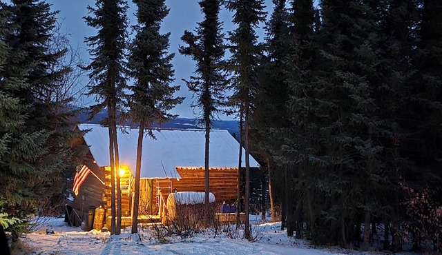 Cozy 2-bedroom cabin in lovely Healy with WiFi.