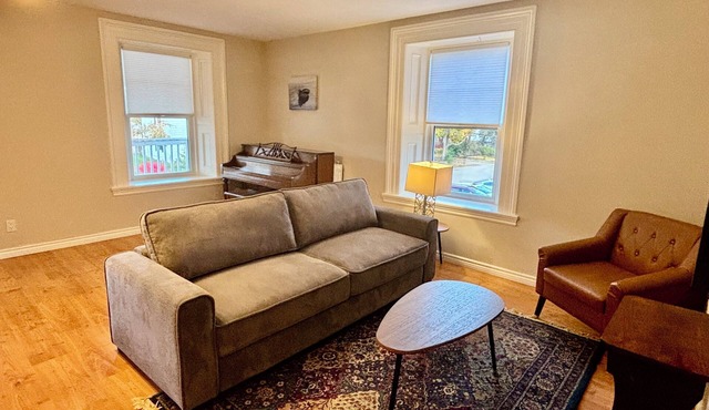 Cozy apartment in century building