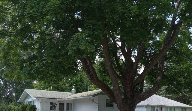 Cozy Cottage near Lake Simcoe