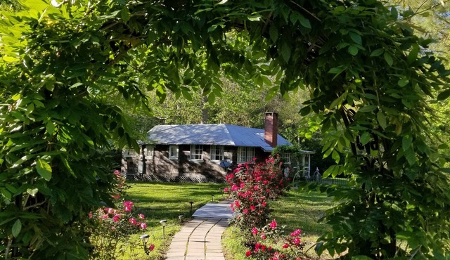 Cozy Cottage on private acreage minutes from town