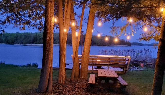 Cozy tiny one bedroom cabin on the Trent River