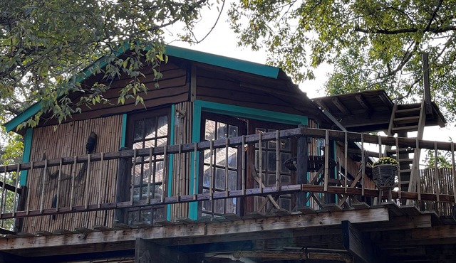 Cozy Treehouse on Lake Conroe w/firepit/kayaks