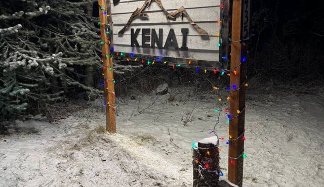 Discover Kenai Base Camp