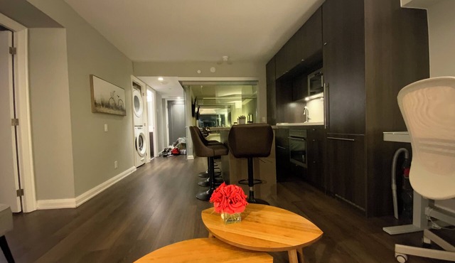 Downtown apartment, amazing view