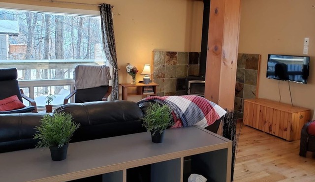 EAGLE VIEW | Cozy ski-side chalet for all seasons | 25 Mins From Ottawa