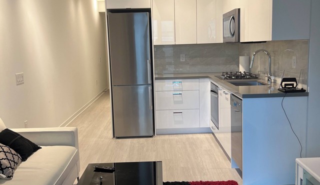 Furnished Downtown Toronto Condo next to Mt Sinai, Ocadu and U of T.