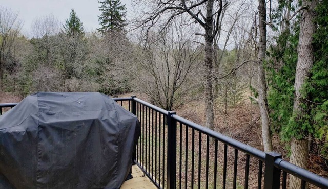 Gorgeous cottage is only a two hour from Toronto