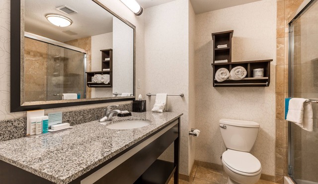 Hampton Inn & Suites by Hilton Lethbridge