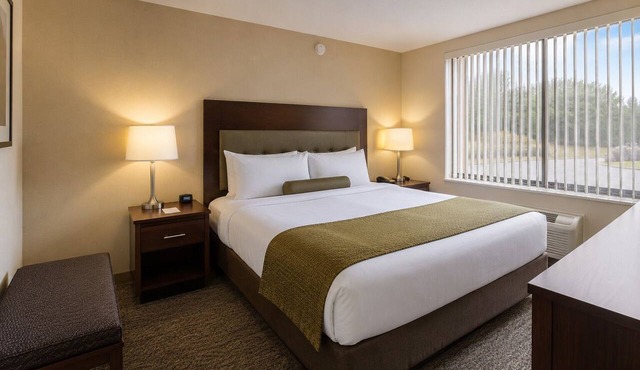 Harbourfront 2BR Retreat Near CN Tower